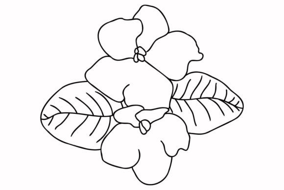 Download Violets - Violet Collection