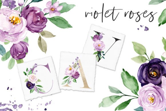Download Watercolor Violet Flowers Roses - Violet Collection