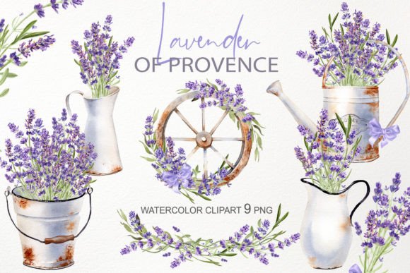 Download Watercolor Lavender Flower Illustration - Watercolor lavender Collection