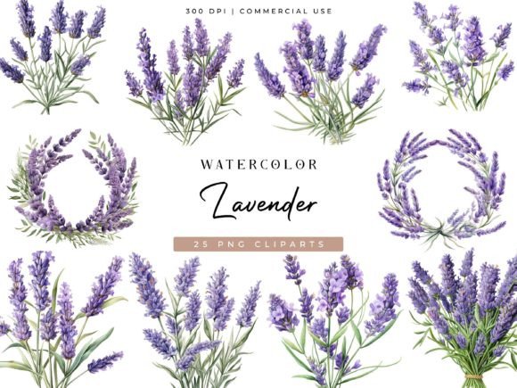 Download Watercolor Lavender Clipart Bundle - Watercolor lavender Collection