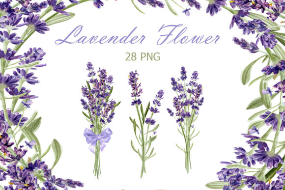 Download Watercolor Lavender Clipart - Watercolor lavender Collection