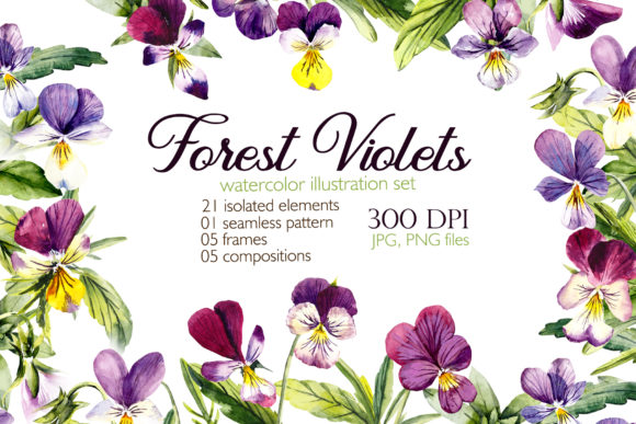 Download Watercolor Forest Violets - Violet Collection