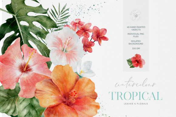 Download Tropical Flowers Leaves Watercolor - Tropical Collection