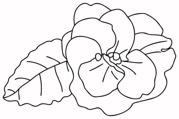 Download Violets - Violet Collection